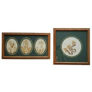 Pair Vtg Oak Framed Pressed Dried Flower Art / Mid Century Botanical Wall Decor
